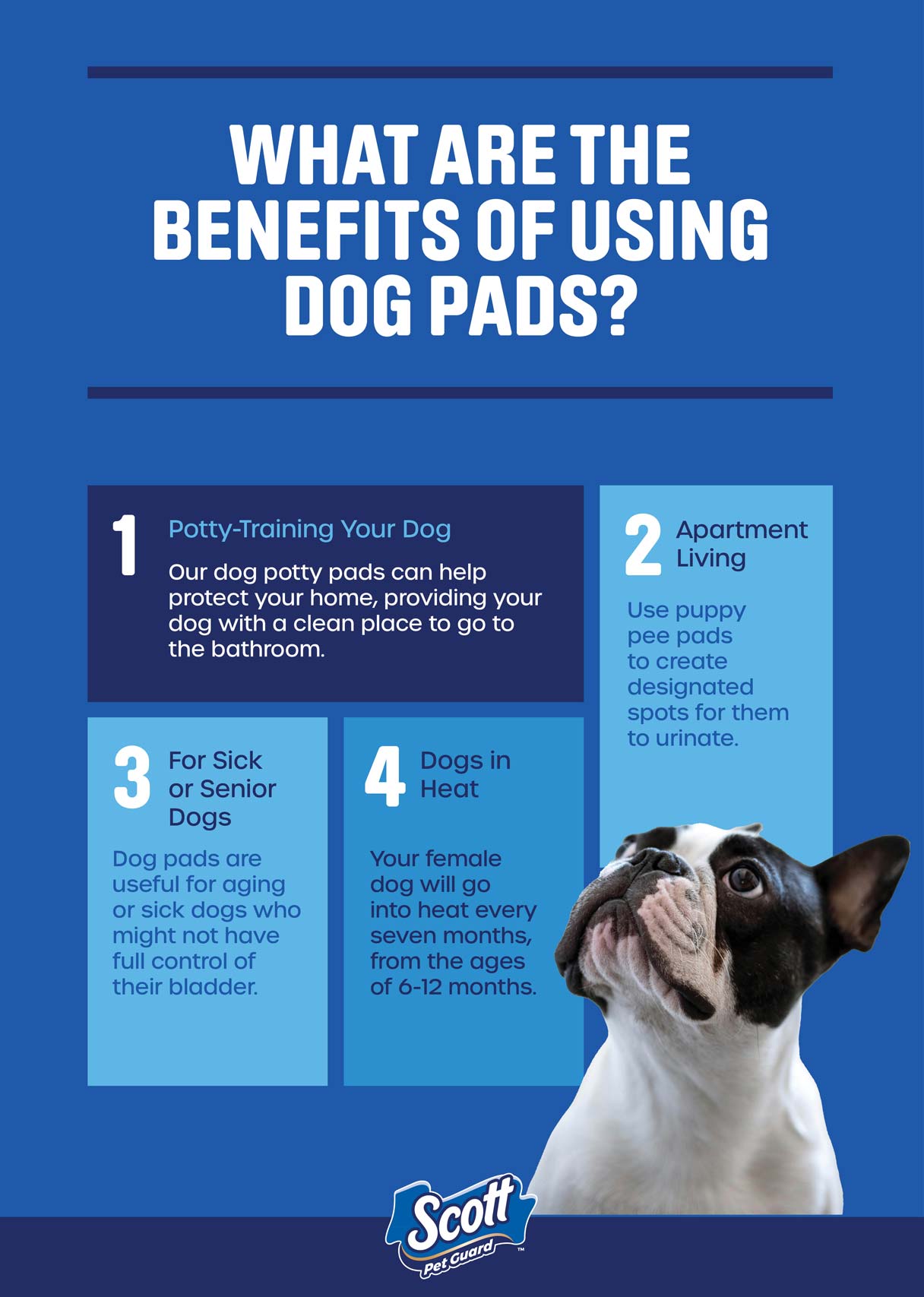 The benefits of using dog pads
