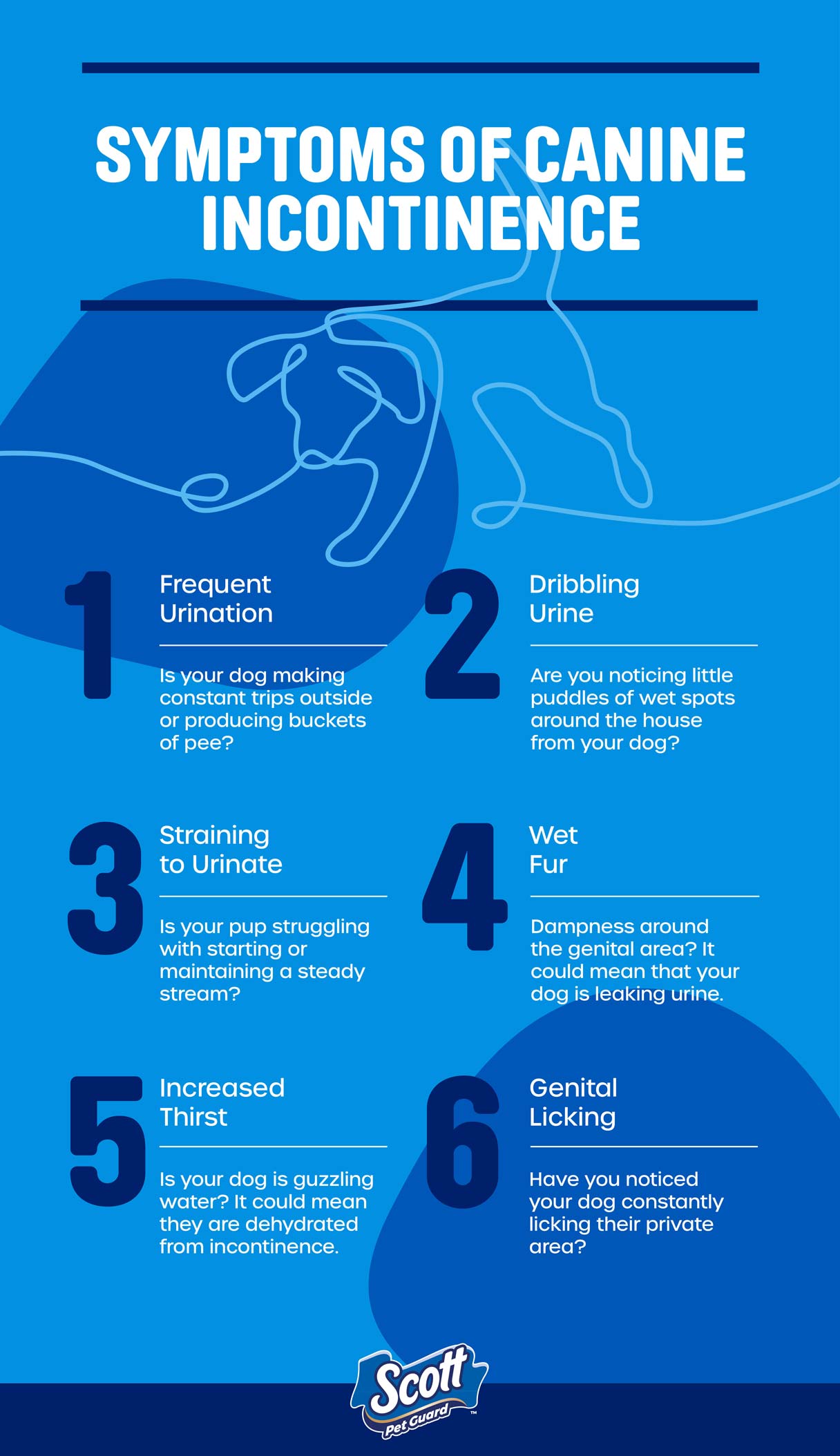 Symptoms of Canine Incontinence
