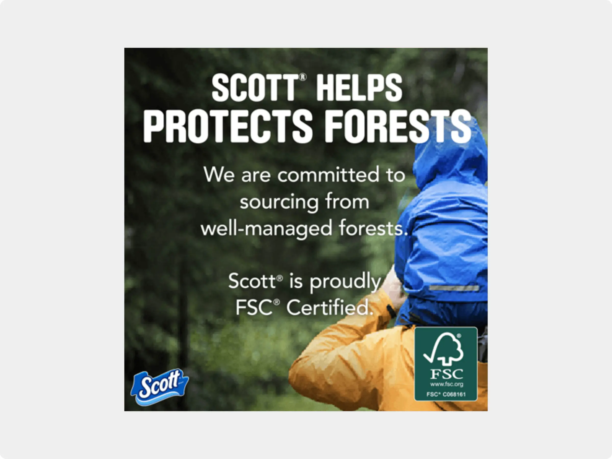 Scott® 1000 apto para las cámaras sépticas