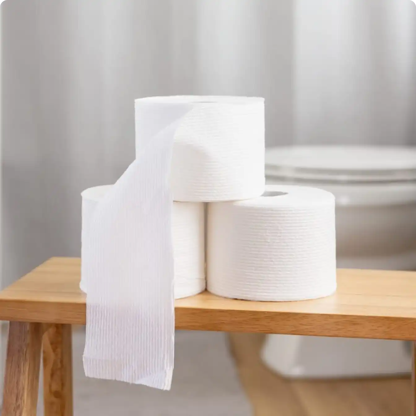 Rolls of toilet paper in the bathroom