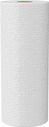Scott® paper towel roll